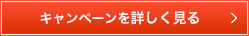 キャンペーンを詳しく見る